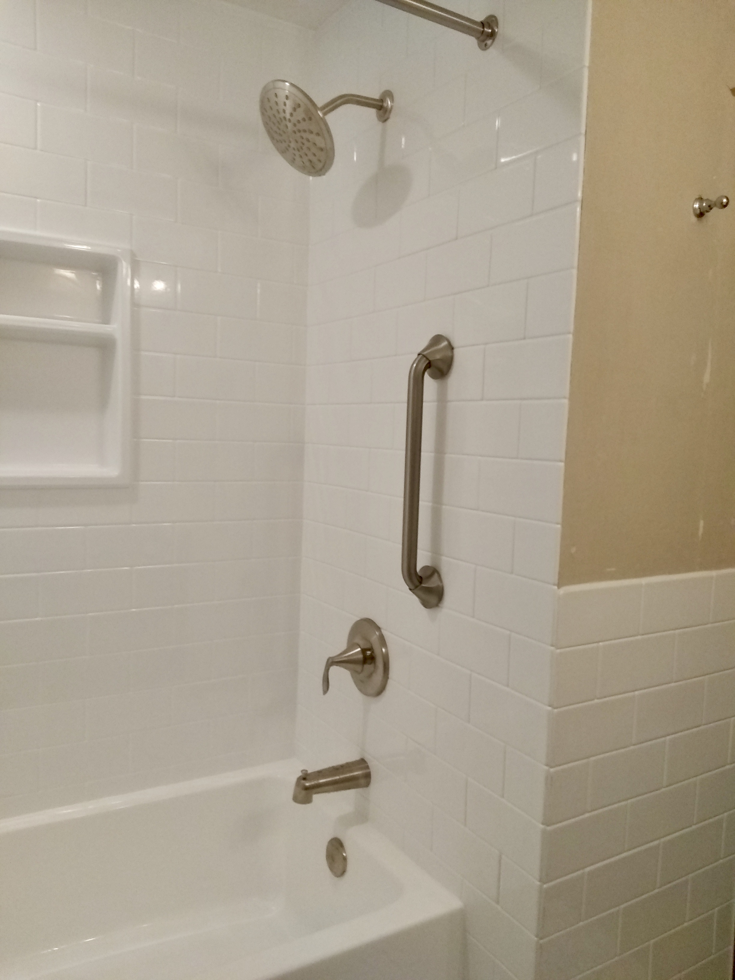 Hall and Master Bathroom Remodels in Eden Prairie